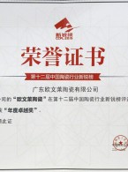 第十二届新锐榜年度卓越奖