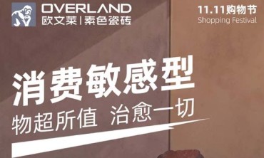 消费敏感型？隐形细节控？无忧剁手党？这个双十一，看欧文莱如何一一闯关！