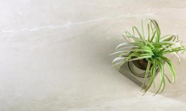 天鹅湖 | 精致生活 需要一些韵味