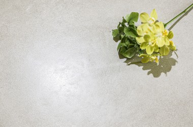 清新系 - 卡农水泥