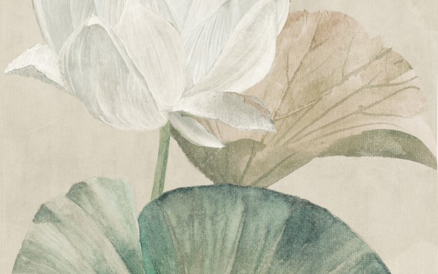 荷塘月色（3个面）