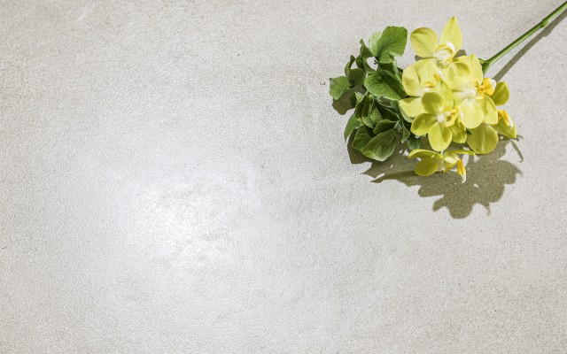 清新系 - 卡农水泥